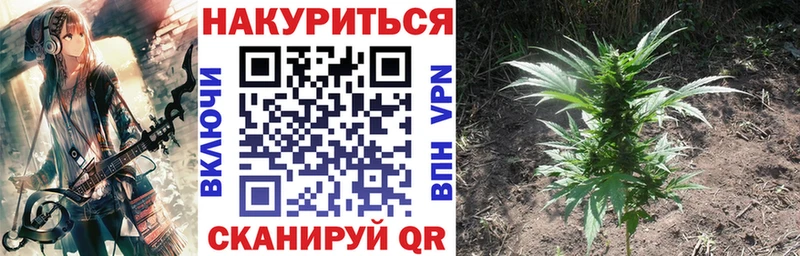 ссылка на мегу   купить наркотик  Жуков  Каннабис LSD WEED 